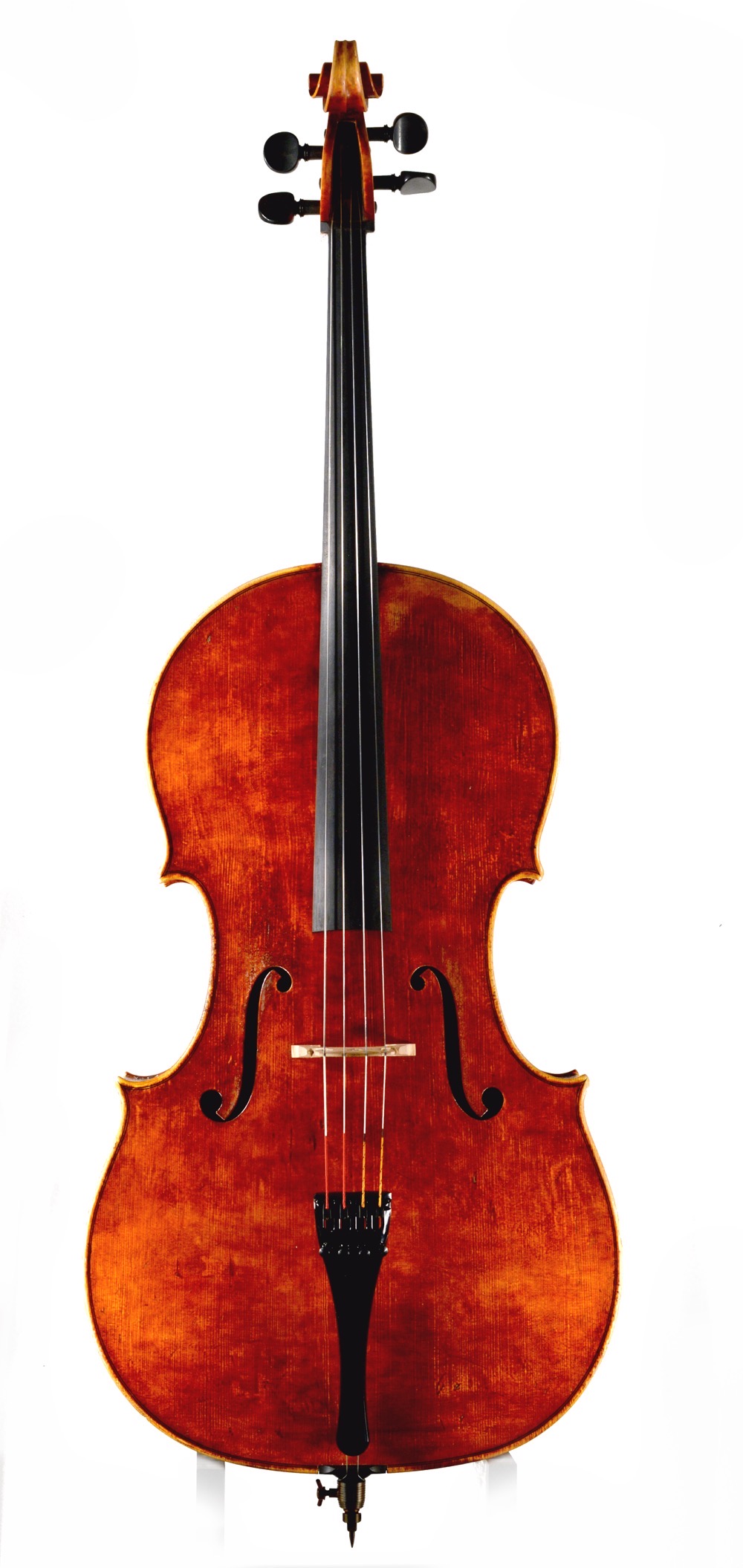 cello-2025-tamino-rexhausen-dunkel-front cello 2025 tamino rexhausen dunkel front