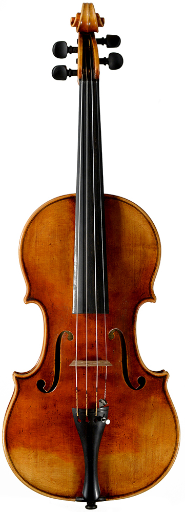 Neubau violine 2024 Neubau violine 2024