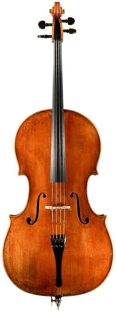 Neubau Cello 2025