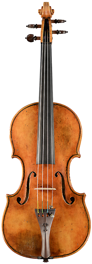 Neubau Violine 2026 Neubau Violine 2026